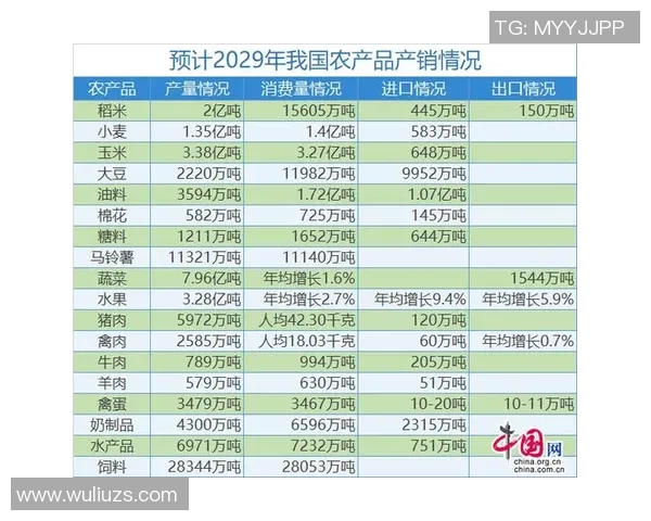 广州排球队的节奏解析与未来发展展望