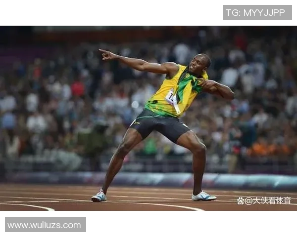 法国足球明星的璀璨星空与他们的辉煌成就探秘