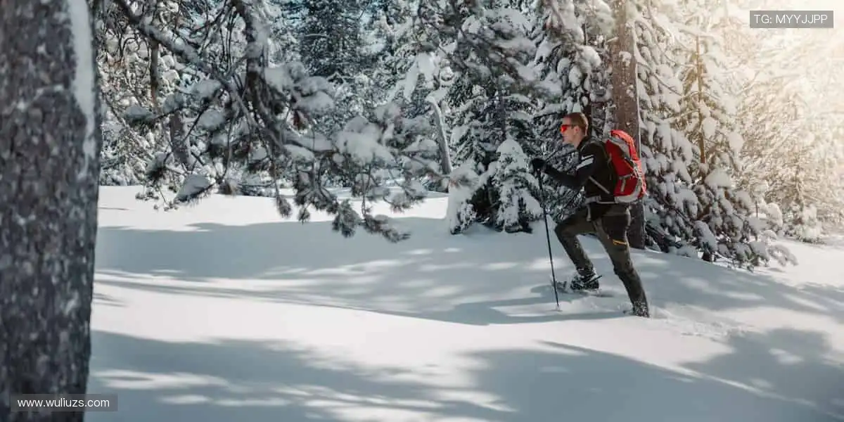 🎉 弹幕、解说、回放，直播乐趣不止于观看！